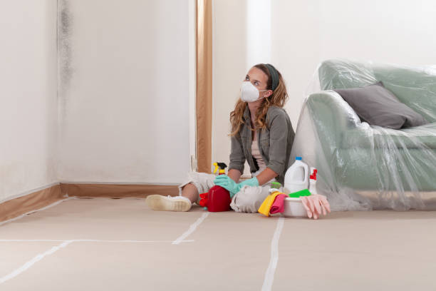 Reliable Black Mold Removal contractor in Bulverde, TX by WQB Mold Removal